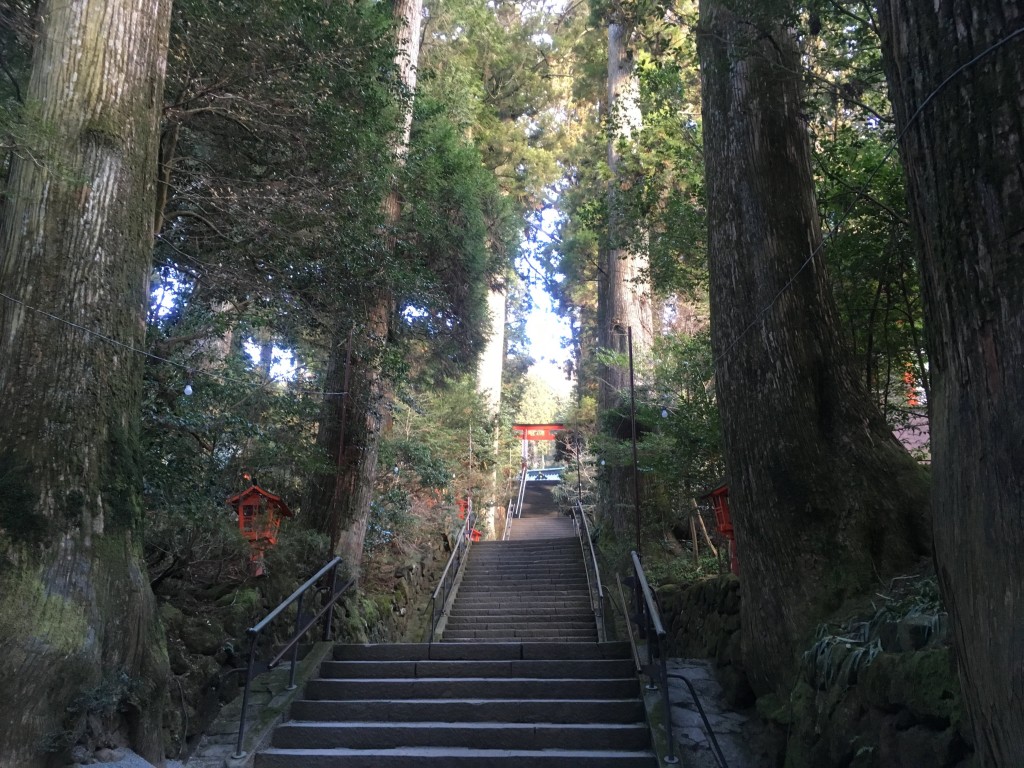 箱根神社の安産杉にお参り 90段の石段は妊婦には辛い 箱根マタニティ旅行1日目 1 やっぱりごはんが一番好き