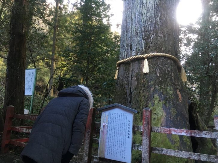 箱根神社の安産杉にお参り 90段の石段は妊婦には辛い 箱根マタニティ旅行1日目 1 やっぱりごはんが一番好き